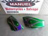 60639-00 Hd Honda Side Panels Left And Right Custom Painted