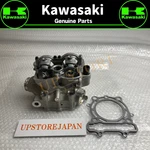 2011 2012 Genuine Kawasaki Cylinder Head & Gasket 11008-0788. Fixed Price $563.16.