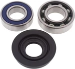 Balls Racing Lower Snowmobile Drive Shaft Kit 14-1054. Fixed Price $42.84.